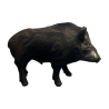 Exponat „Schwein“
