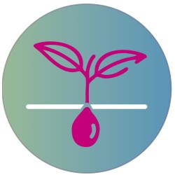 Bodenaufkleber „Illustration Seed“