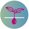 Bodenaufkleber „Illustration Seed“
