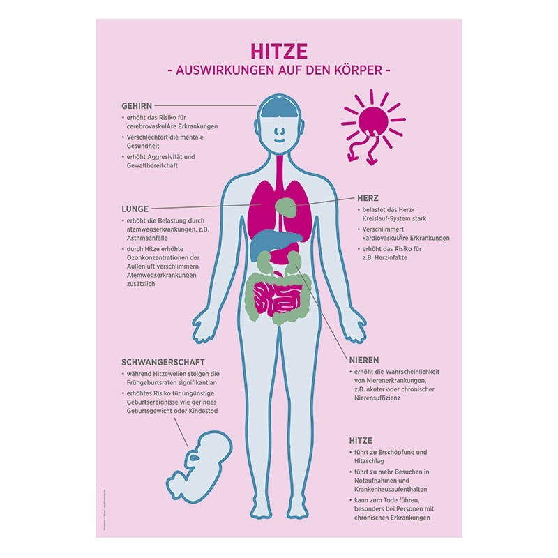 Plakat „Hitze – Auswirkung auf den Körper“